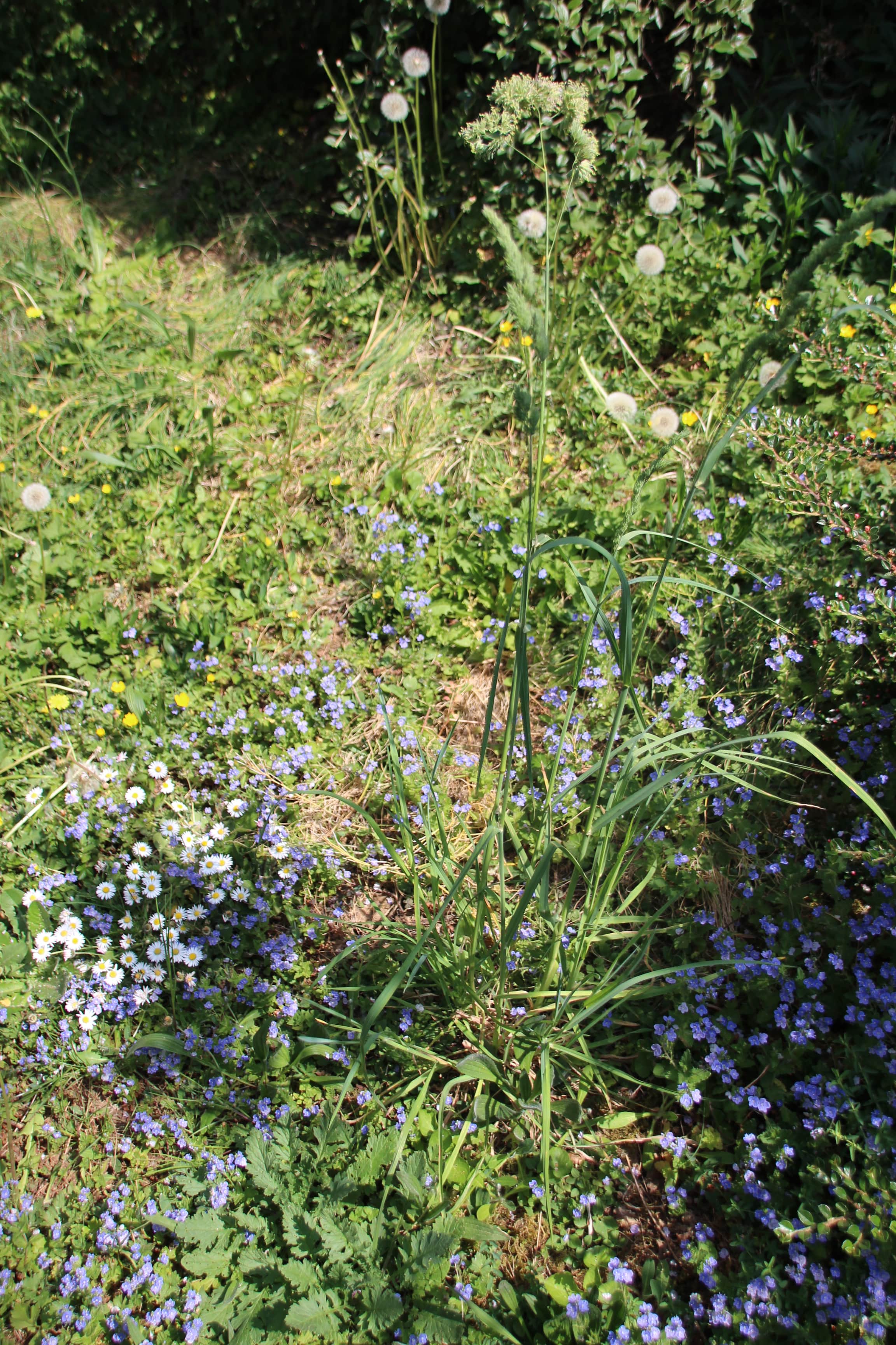 Annexe IMG_6121-min.JPG