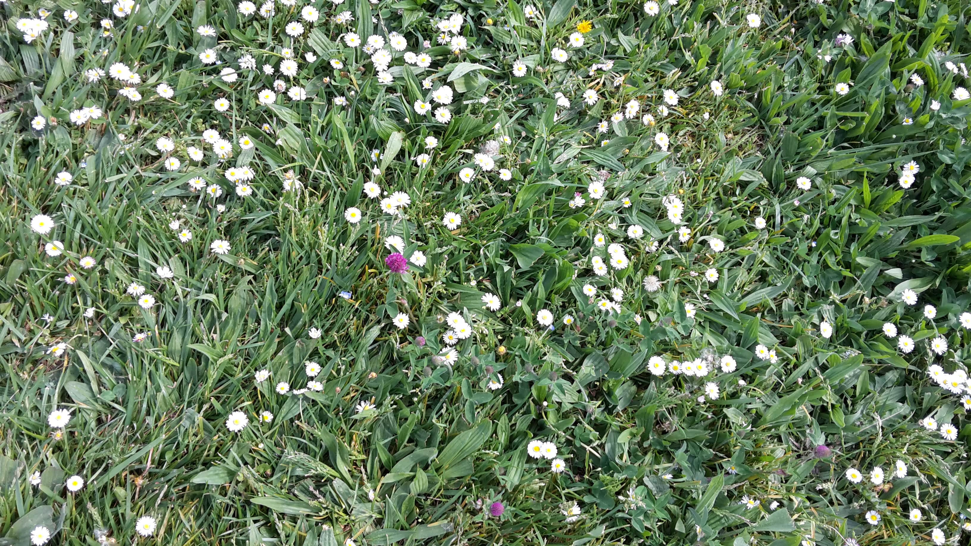 Annexe photo mooc-min.jpg