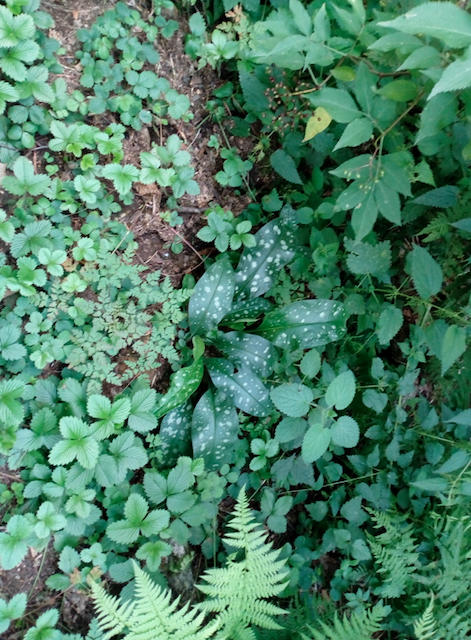 Annexe Capture d’écran 2020-04-24 à 16.58.27.png