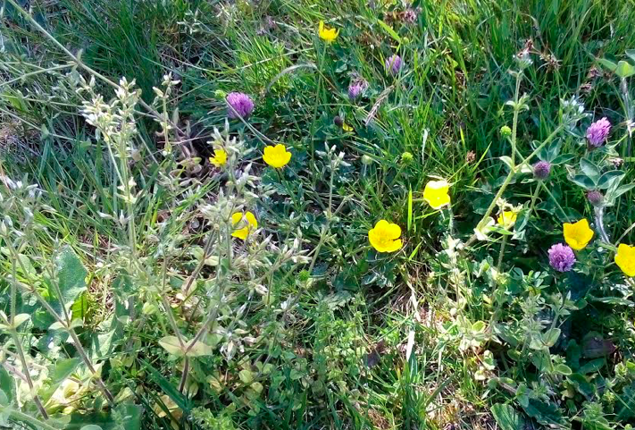 Annexe Screen Shot 2020-04-24 at 18.42.58.png