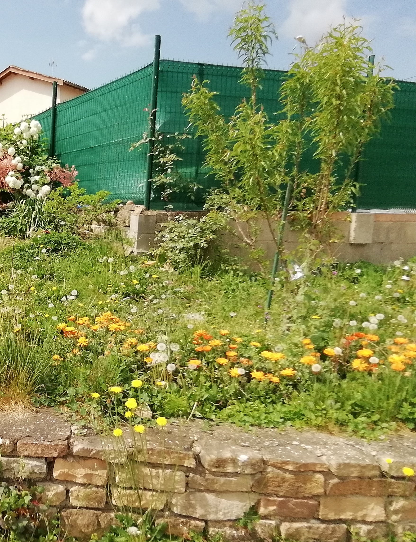 Annexe IMG_20200425_120105-min.jpg