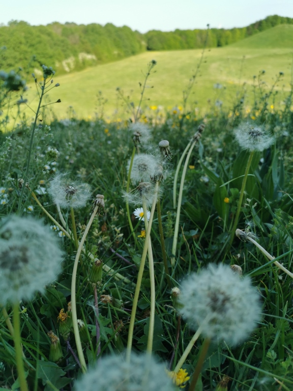 Annexe Prairie [Résolution de lécran].jpg