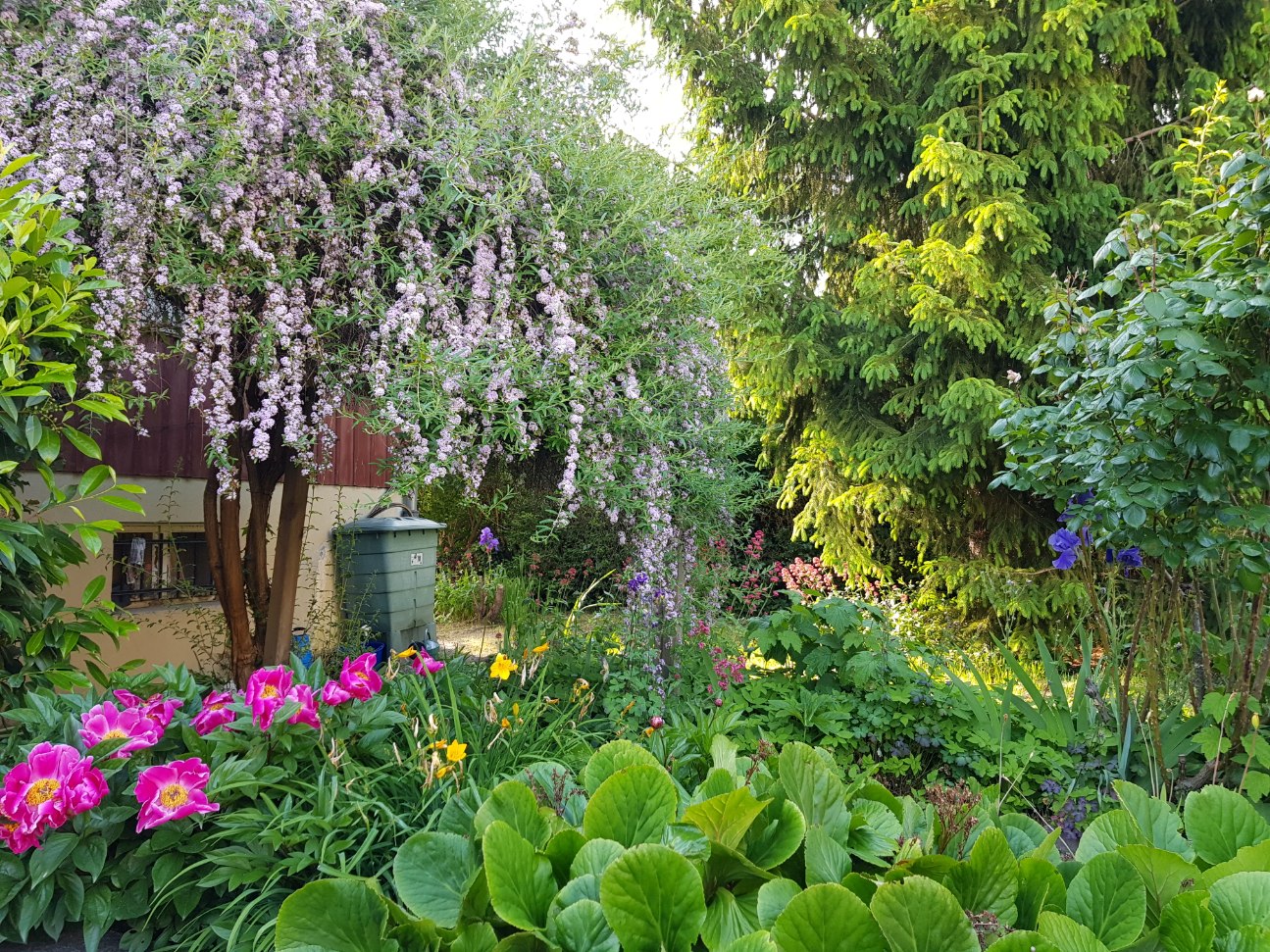 Annexe PhotoJardin.jpg