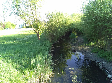 Annexe IMG_20200422_184300.jpg