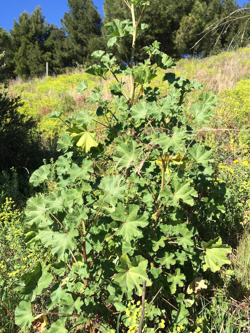 Annexe explo2-mauve.jpg