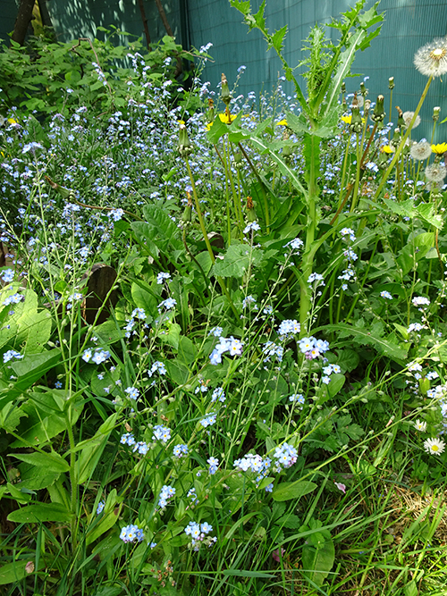 Annexe DSC066421.jpg