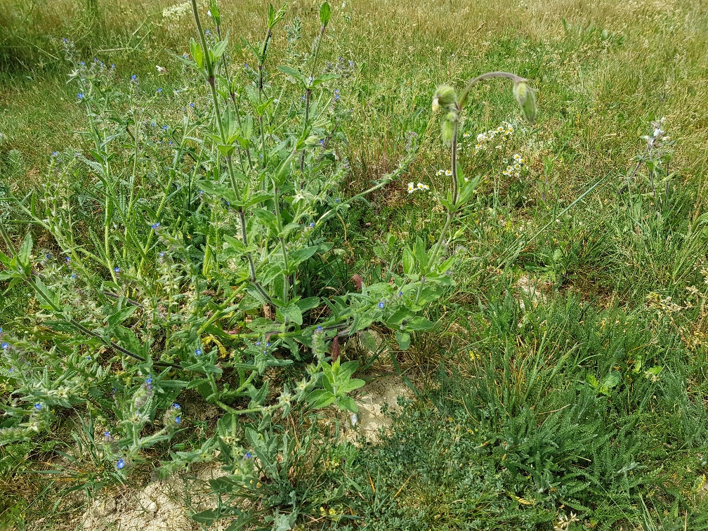 Annexe 20200426_132400_resized.jpg