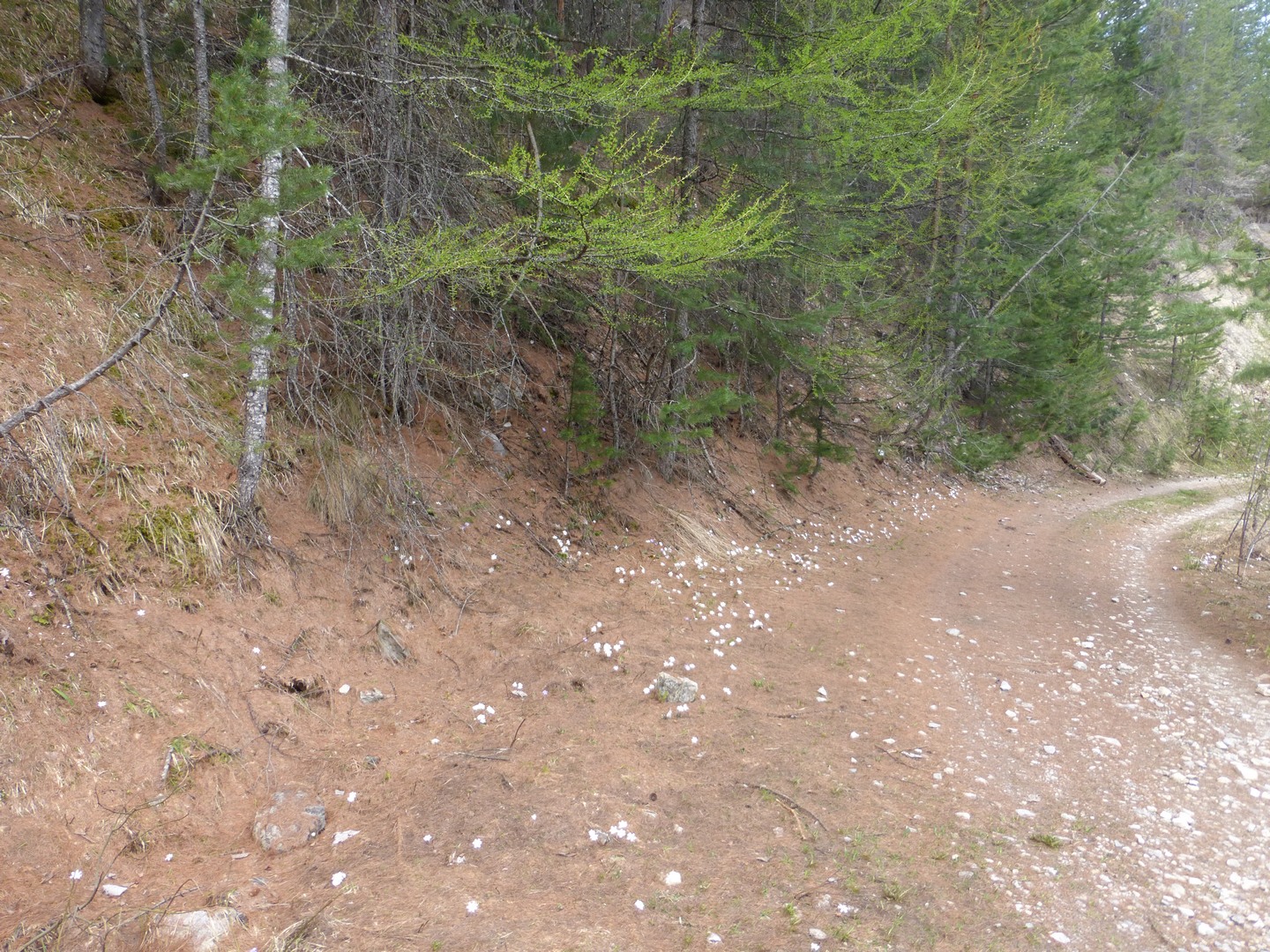 Annexe Chemin faisant.jpg