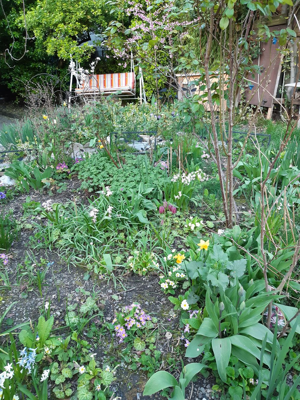 Annexe 20200318_jardin mars.jpg