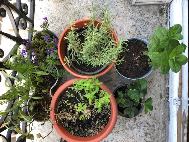 Annexe balcon parisien.jpg