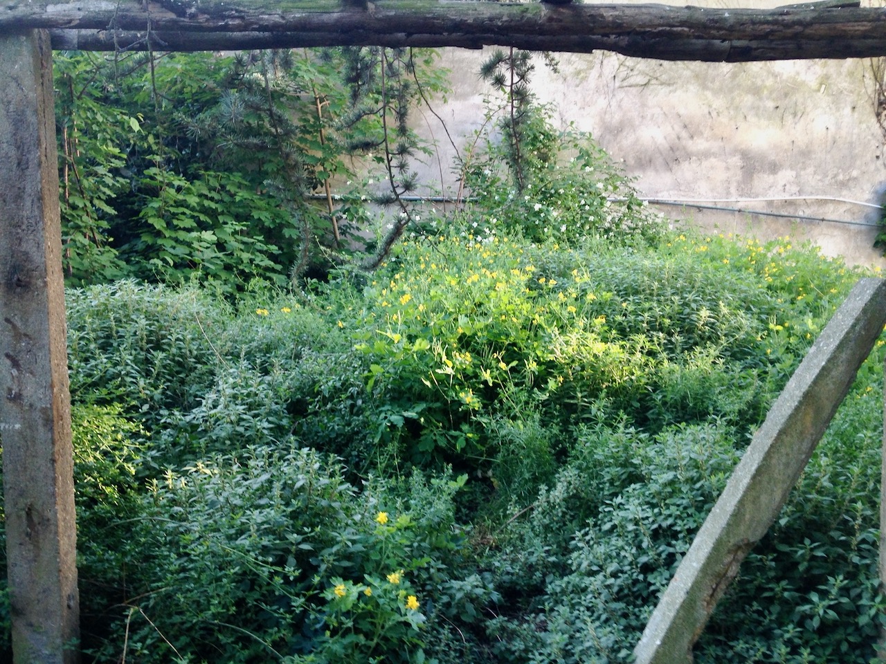 Annexe IMG_5986.jpeg