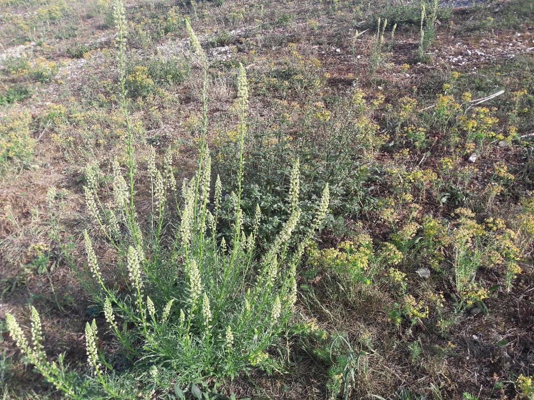 Annexe ENSEMBLE 2 .jpg