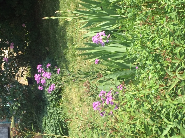 Annexe image1(1).jpeg