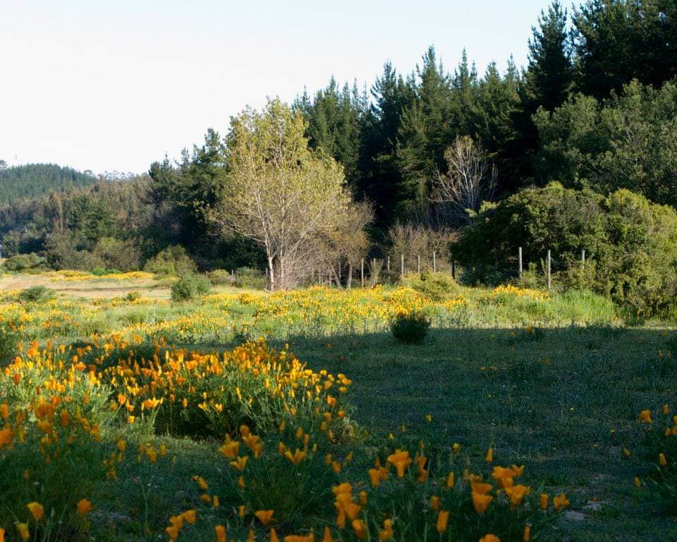 Annexe valapraiso.jpg