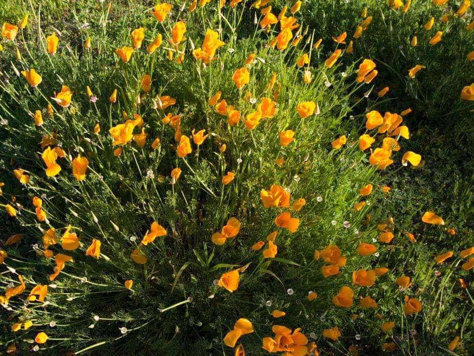 Annexe valparaiso2.jpg