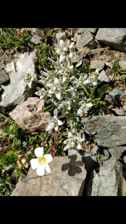 Annexe 94636814_1139059626433536_4310698812017475584_n.jpg