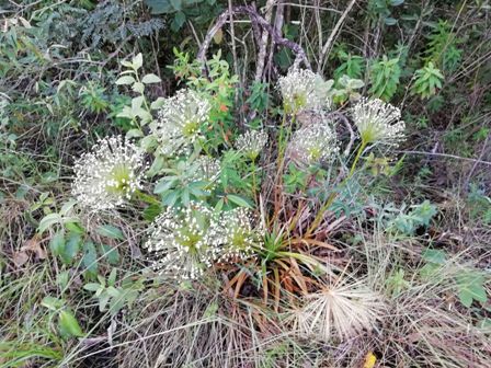 Annexe IMG-20190423-WA0058.jpg