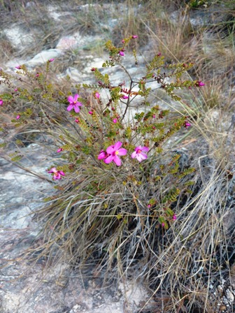 Annexe IMG_20170809_142737260.jpg