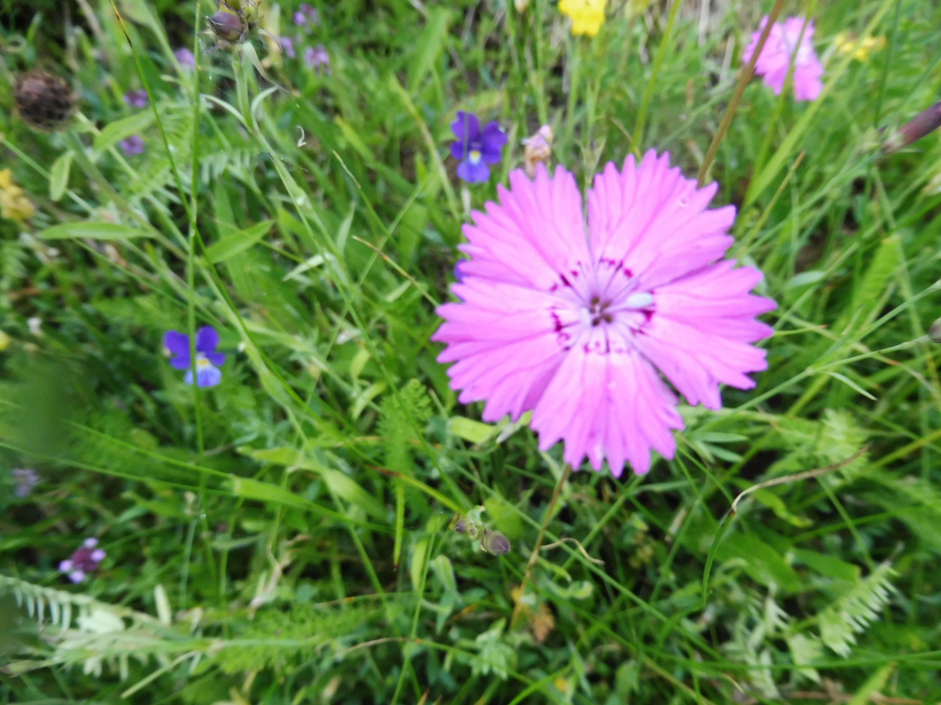 Annexe P1020896-min.JPG