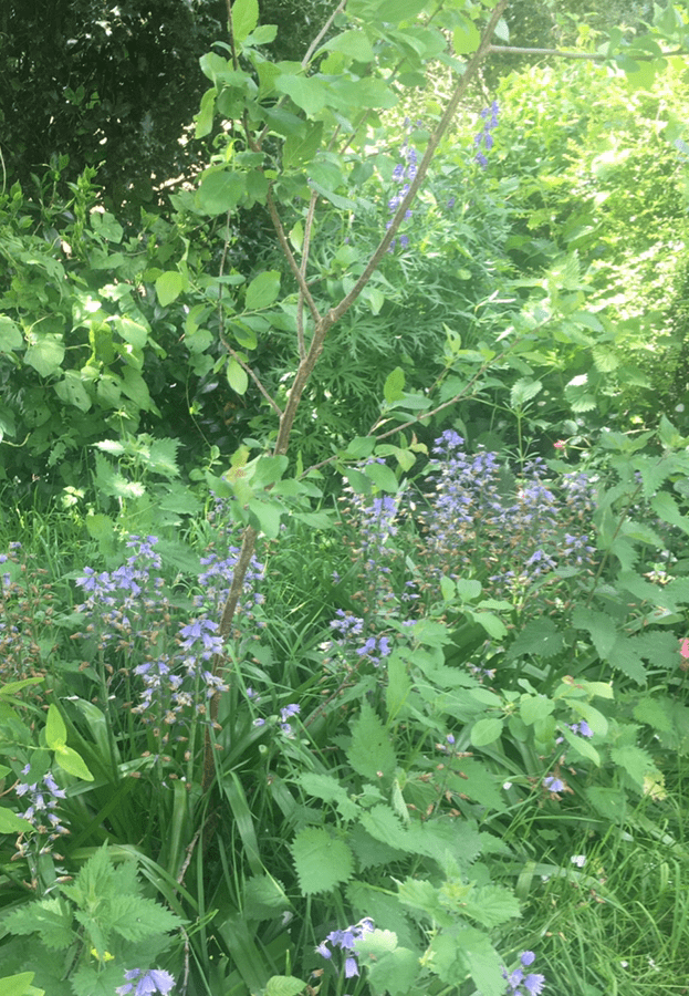 Annexe IMG_1544 - Edited (1)-min.png