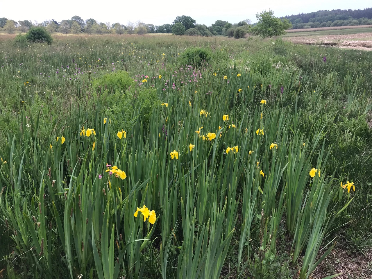 Annexe IMG_8086.jpeg