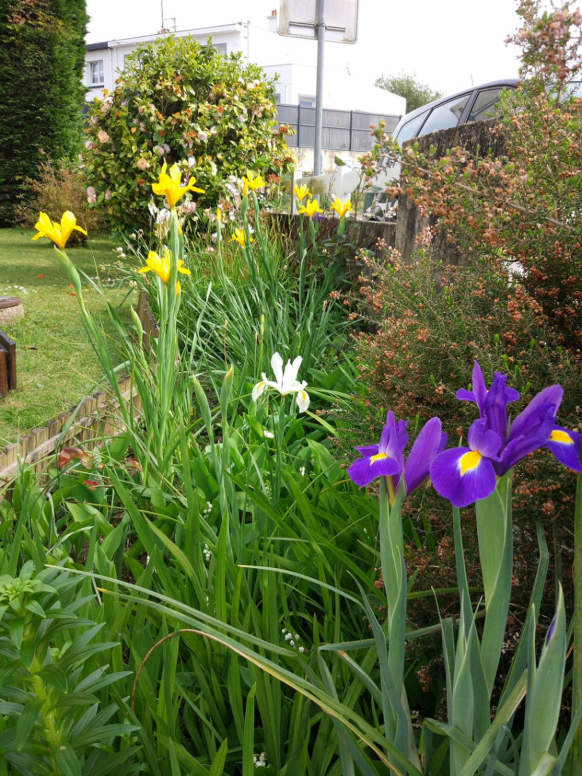 Annexe IMG_20200421_170657.jpg