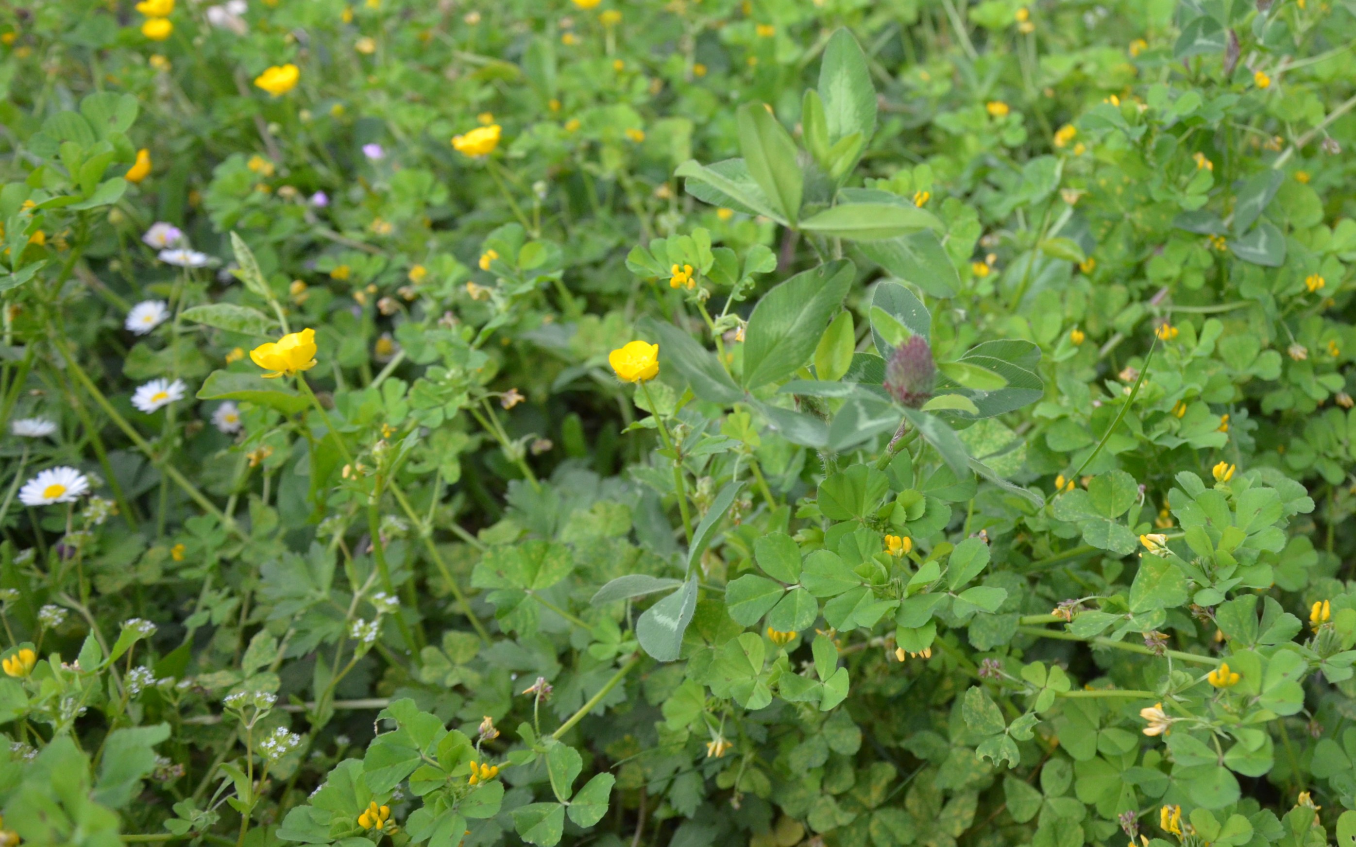 Annexe BAD_9561(2).jpg