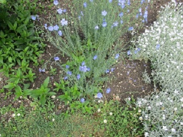 Annexe Biodiversité.JPG