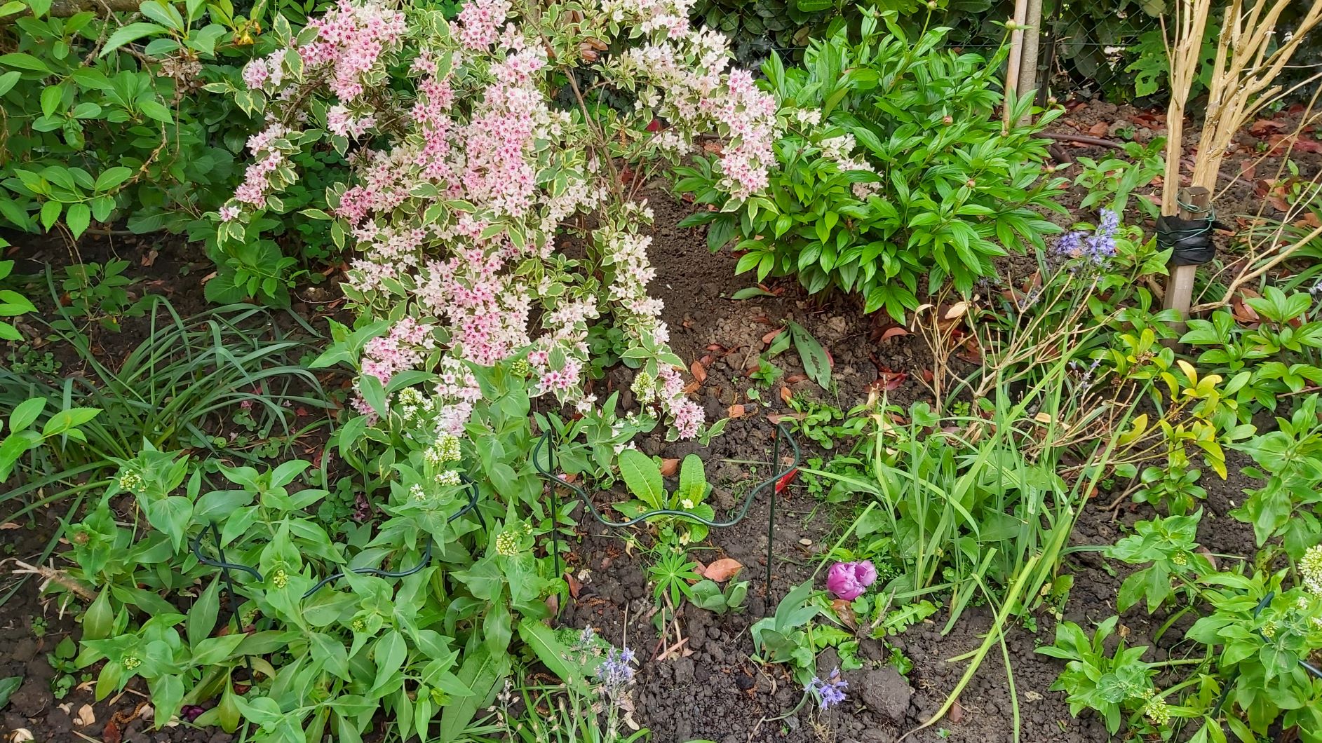 Annexe 20200430_105002.jpg