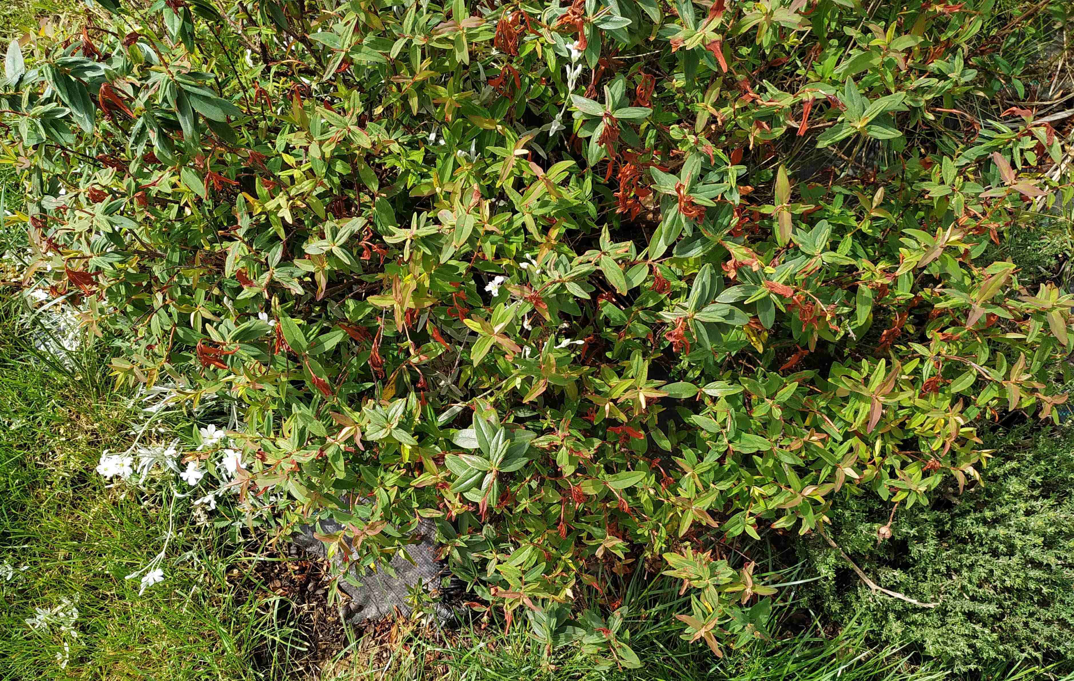 Annexe IMG_20200430_124456-min-min-1-ConvertImage.jpg