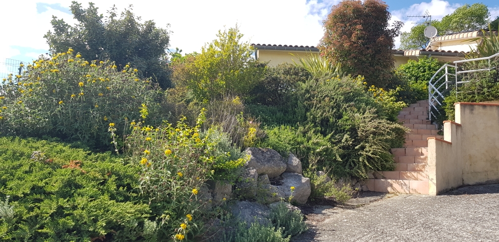 Annexe 20200430_165534.jpg