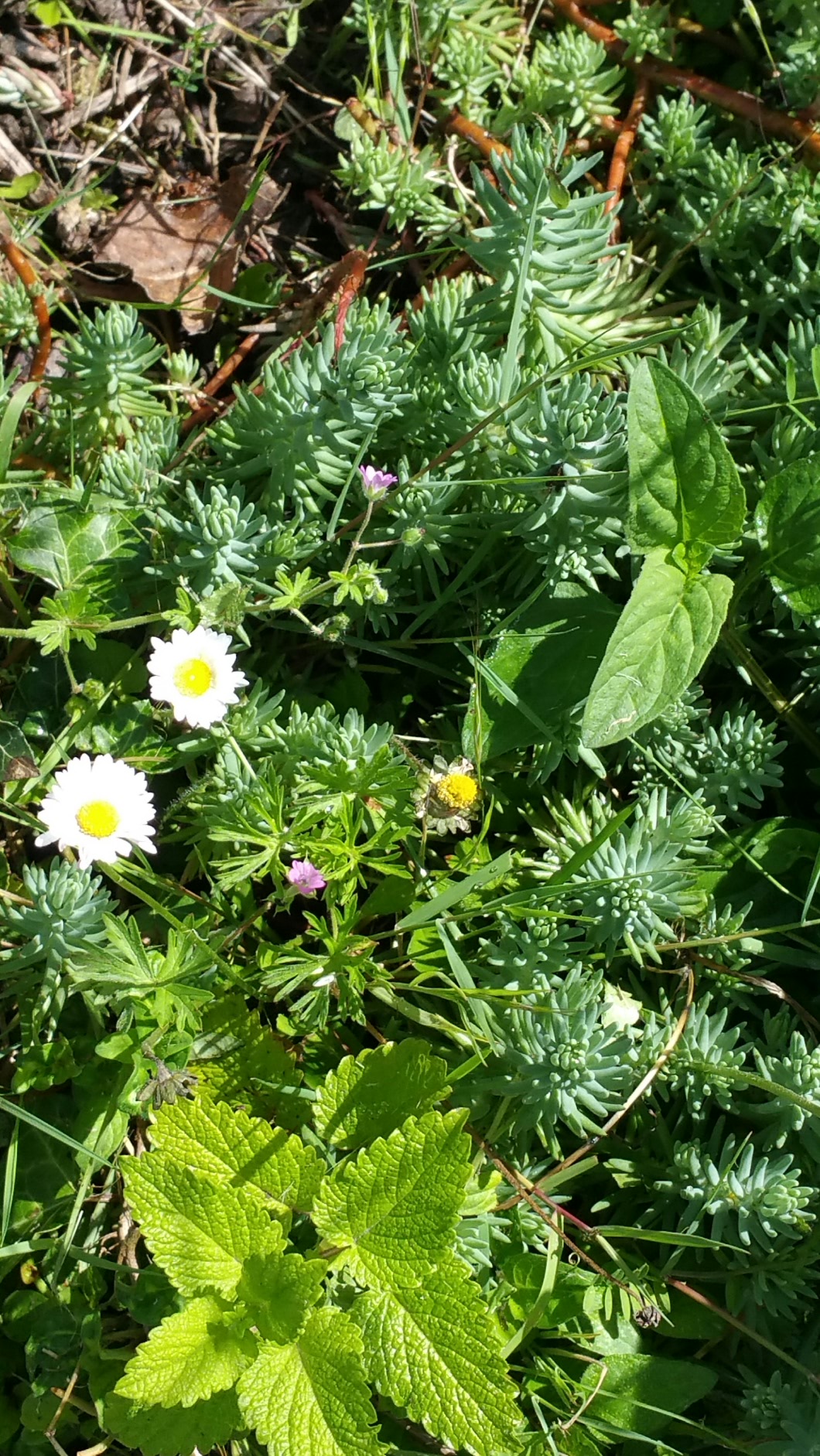 Annexe 2020-04-30 17.44.18.jpg