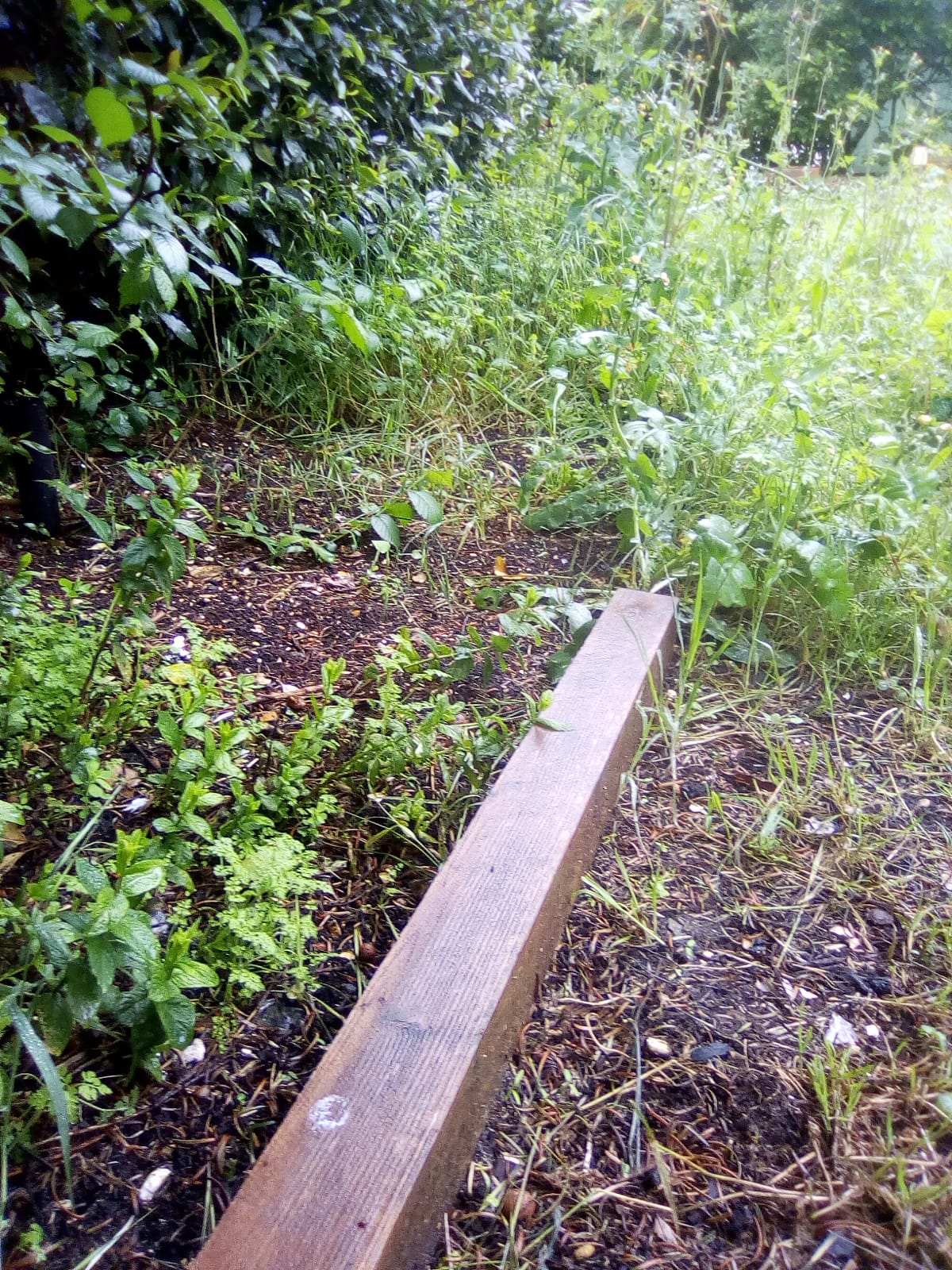 Annexe IMG-20200501-WA0012.jpg