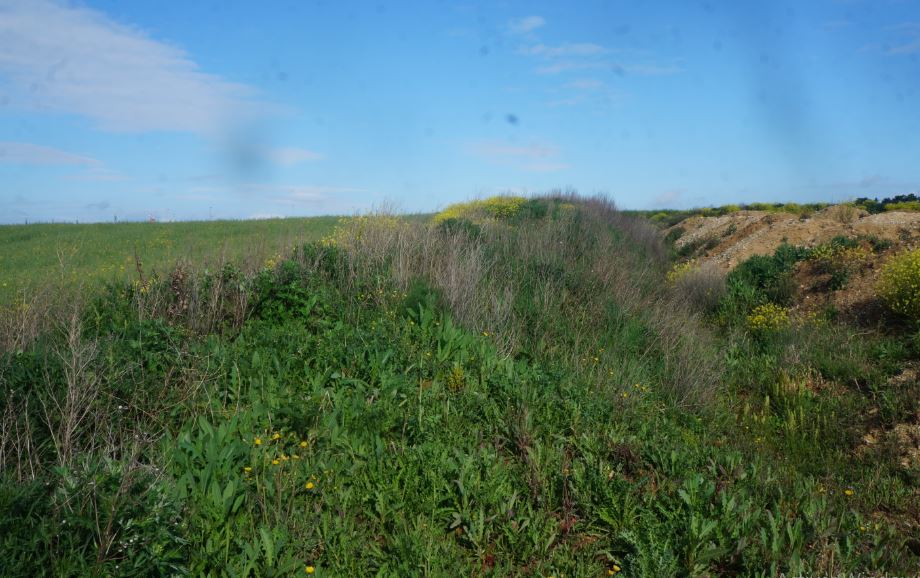 Annexe biodivercité3.JPG