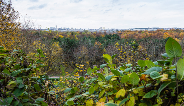 Annexe Biodiversité Vincennes.PNG