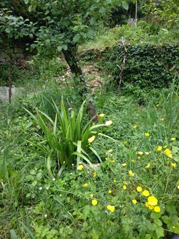 Annexe 95514146_272762020788439_8530242337656274944_n.jpg