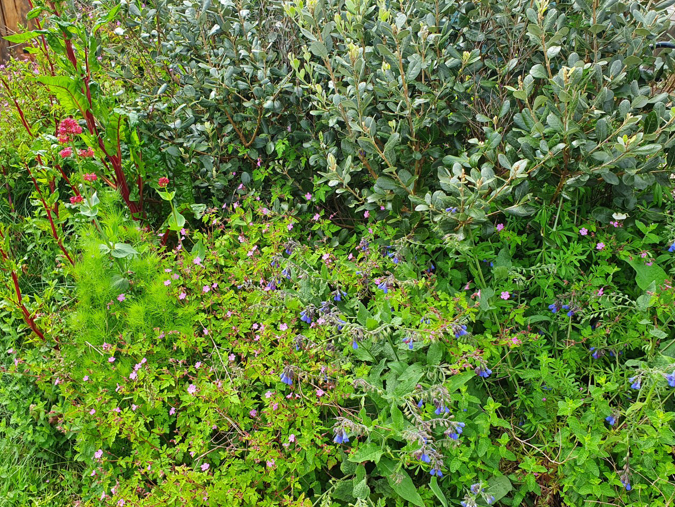 Annexe BIODIVERSITE.png