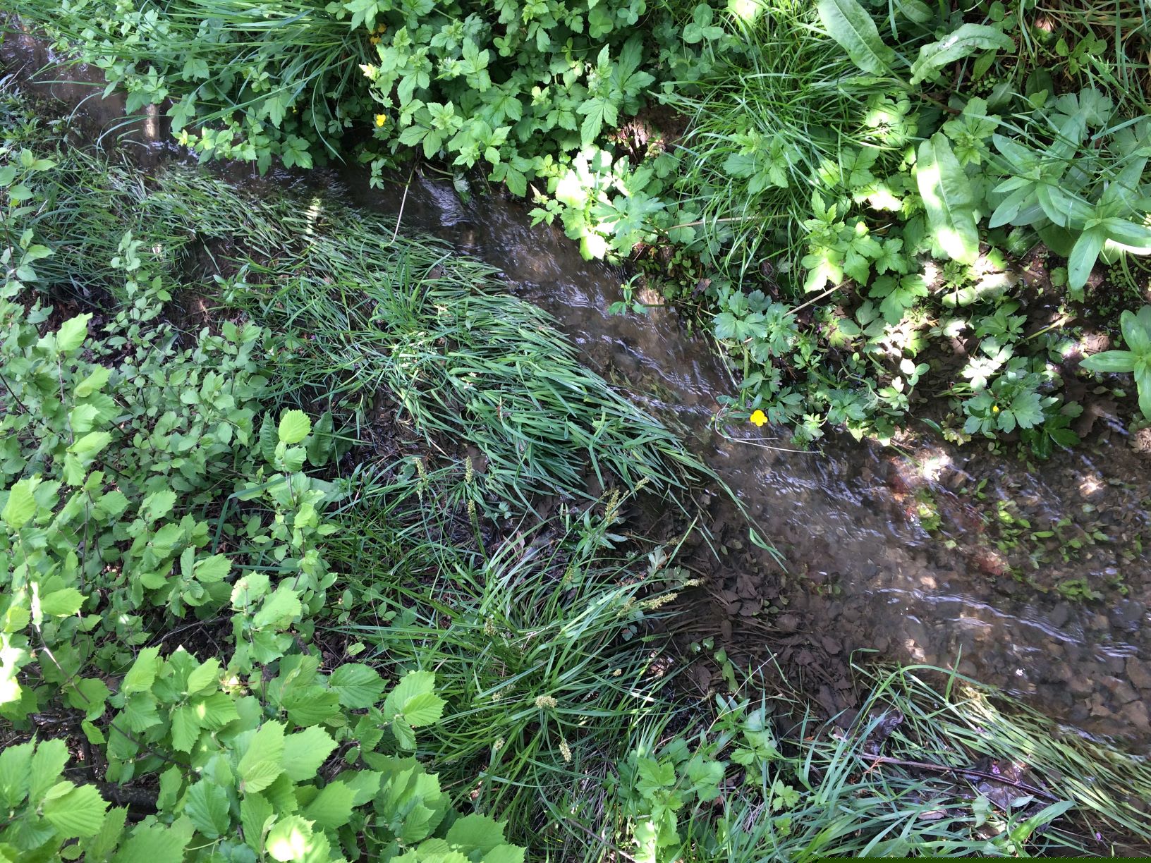 Annexe juliette canal Gap.JPG