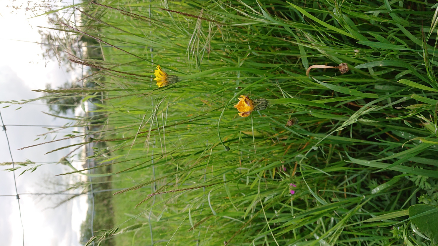 Annexe DSC_0211-ConvertImage.jpg