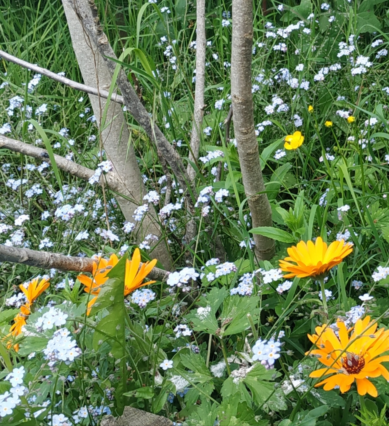 Annexe IMG_20200504_232301.jpg