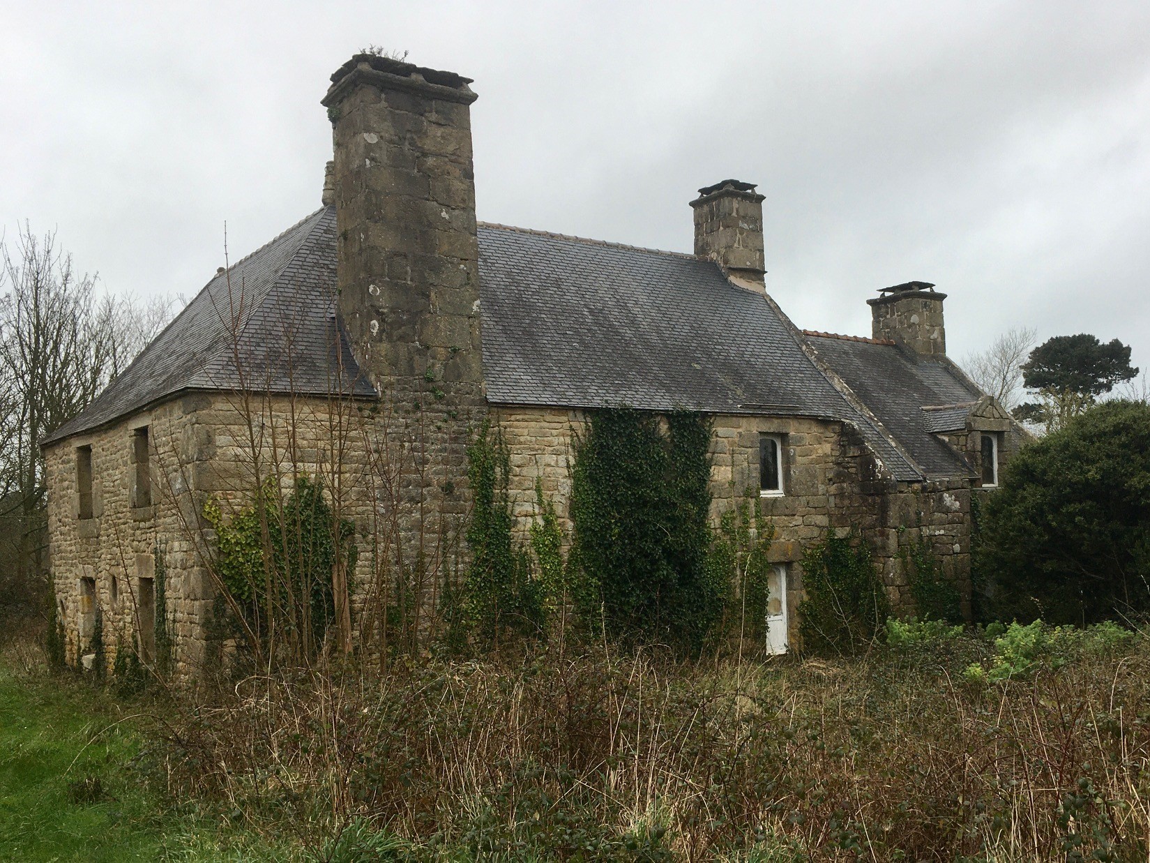 Annexe biodiversité.jpg