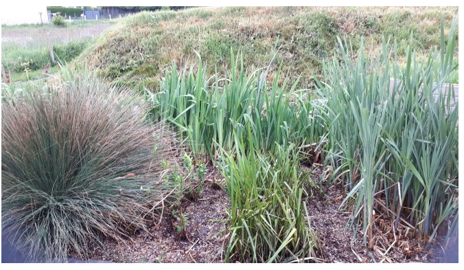 Annexe Annotation 2020-05-05 190852.png