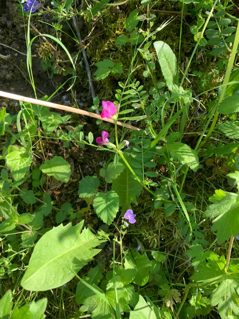 Annexe IMG-20200507-WA0006.jpg