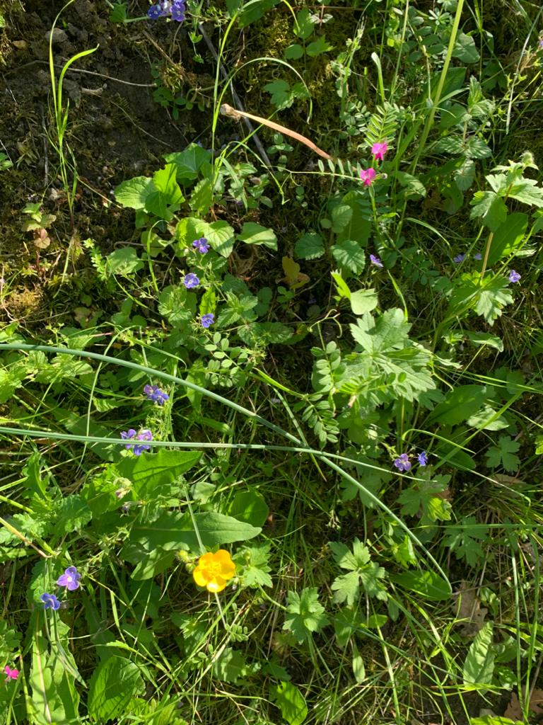 Annexe IMG-20200507-WA0009.jpg