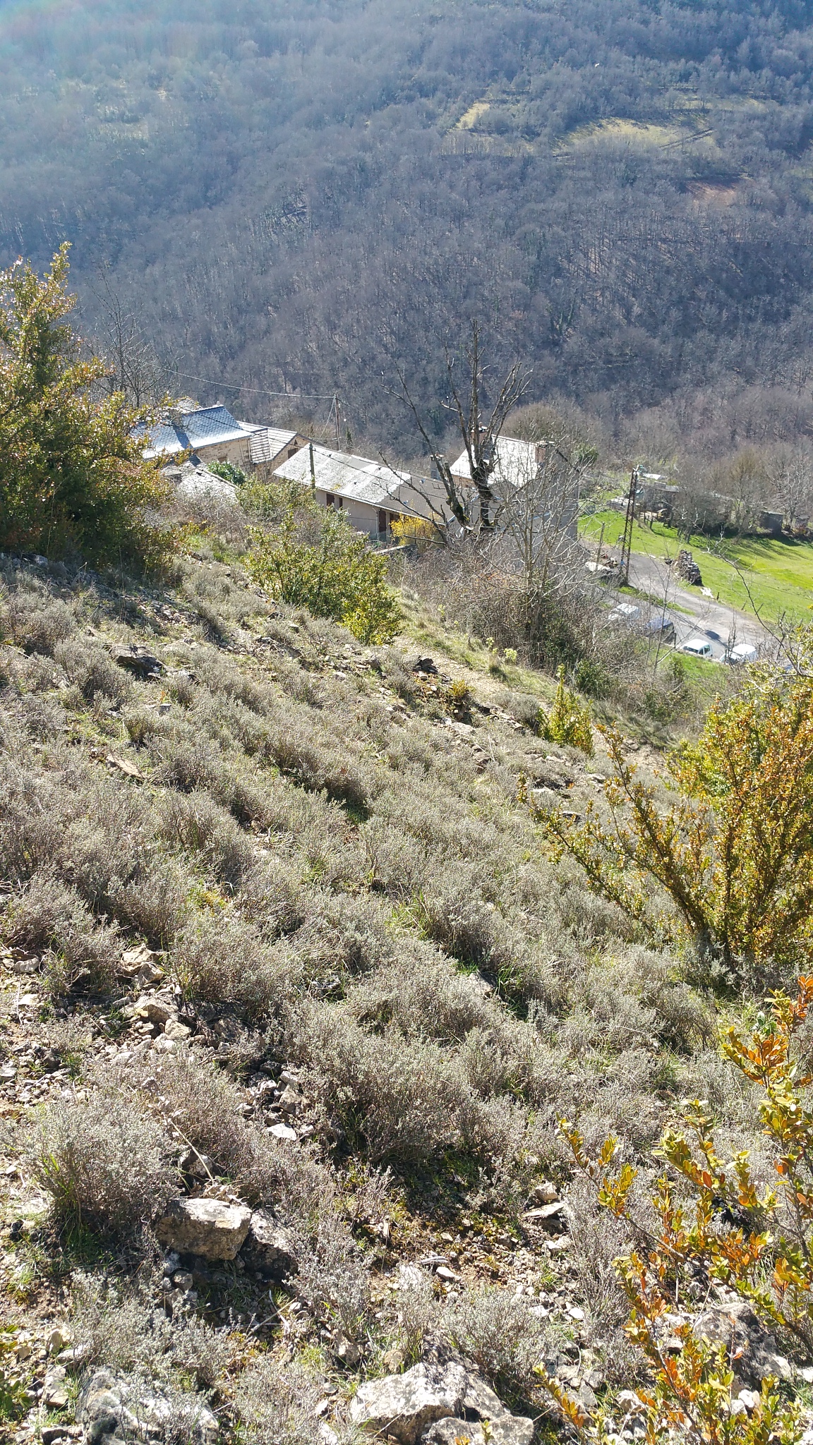 Paysage de vallée en hivers avec au premier plan une lande calcaire à Thym et buis, au second plan un village et des prairie et au troisième plan le versant opposé de la vallée couvert de forêt de feuillus