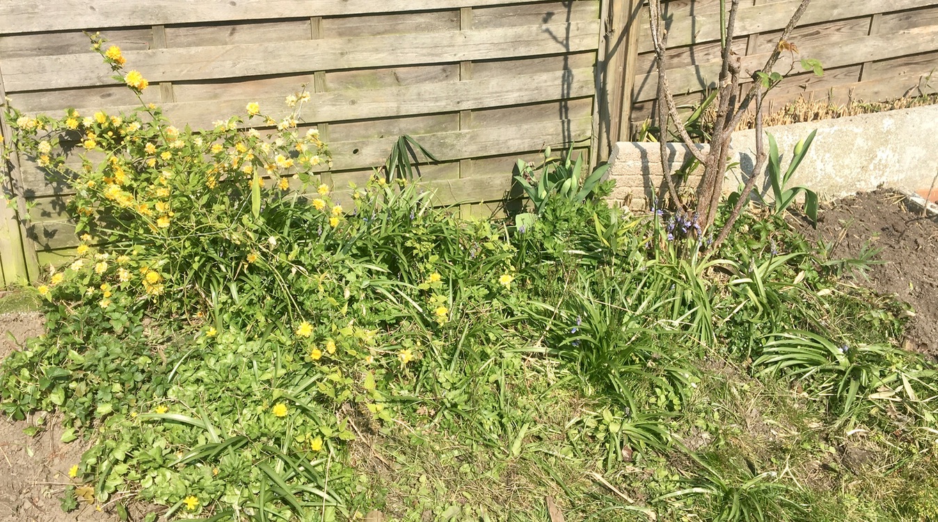 Biodiversité jardin