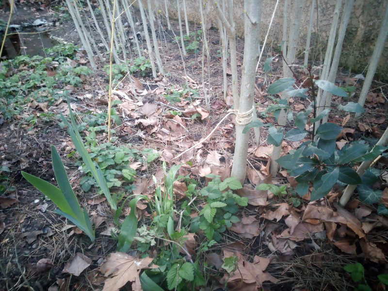 vue d'ensemble  biodiversité