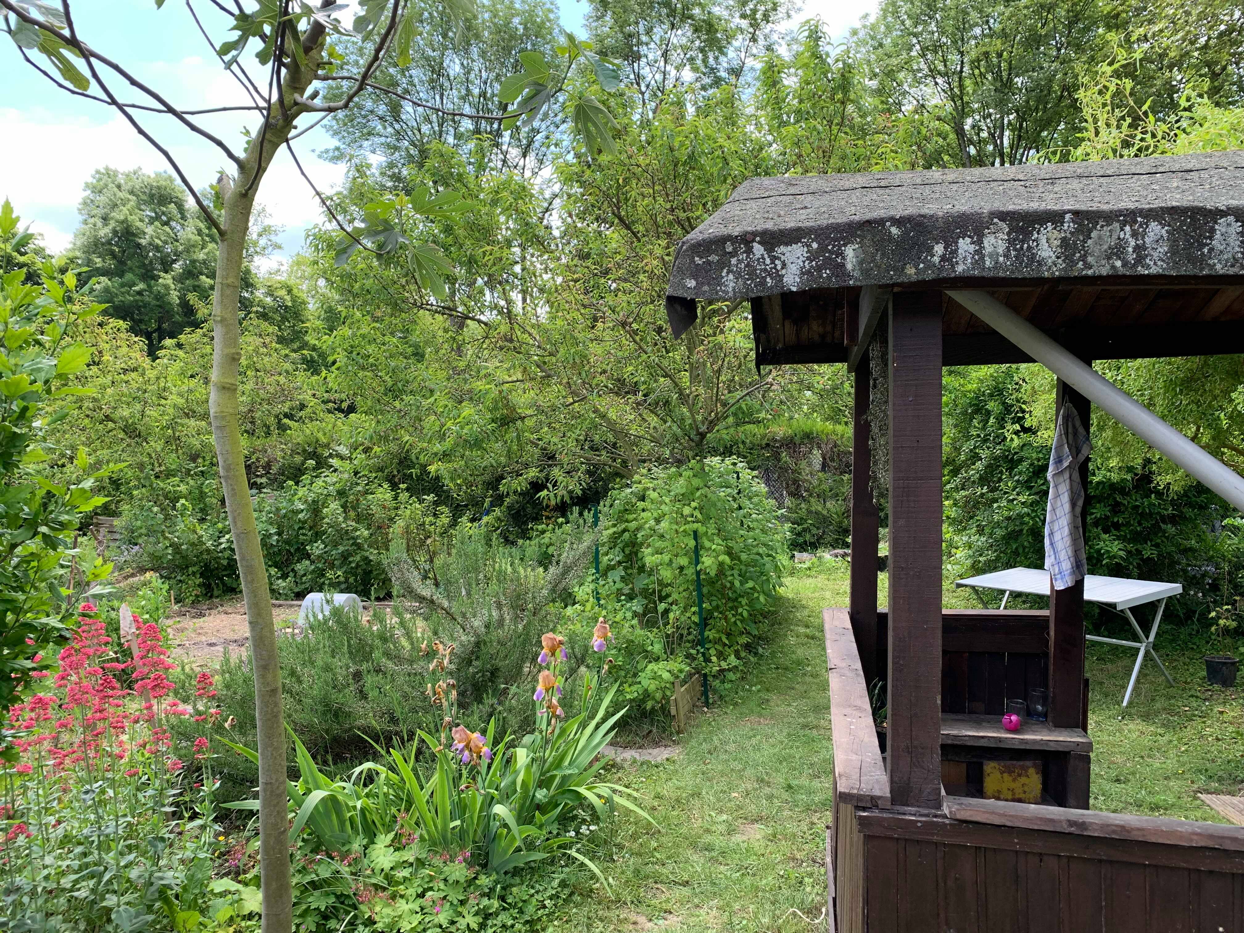 vue d'une partie de jardin