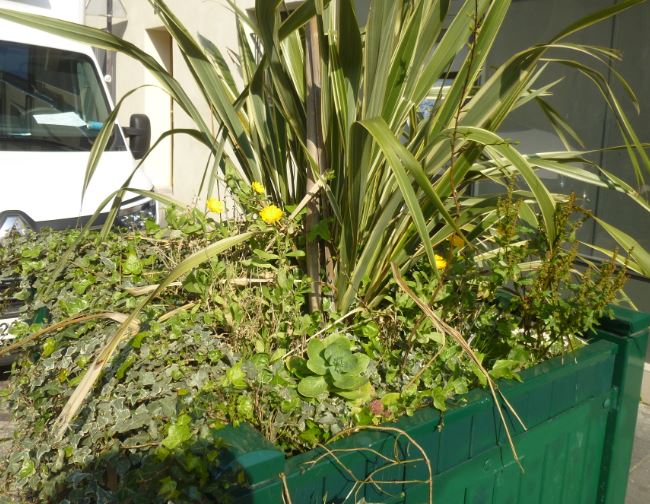 bac de fleurs à Paris