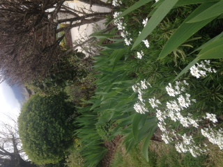 biodiversité dans mon jardin